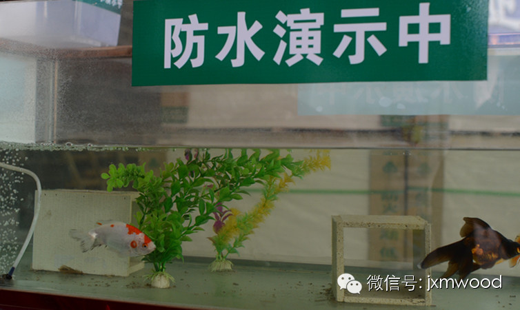 環(huán)保板材品牌家湘美廚衛(wèi)專用生態(tài)板.jpg